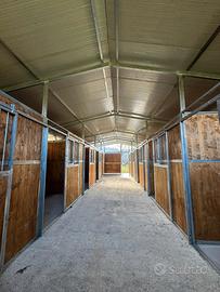 Scuderie e box per equini