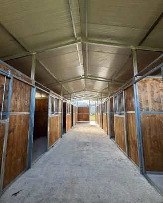 Scuderie e box per equini