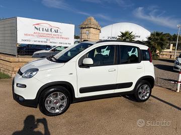 Fiat Panda 1.3 MJT S&S 4x4 Antartica