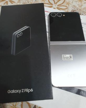 Samsung Flip 6