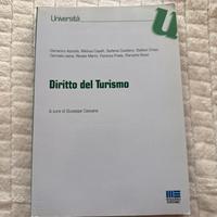 Libro Diritto del Turismo Apicella