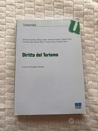 Libro Diritto del Turismo Apicella