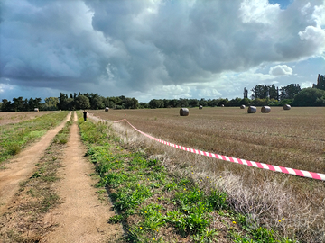 Vasto terreno edificabile residenziale C3