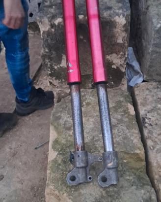 forcelle pit bike