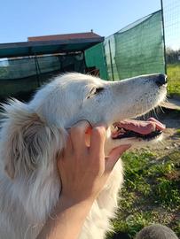 Titty e Tony sognano amore e libertà