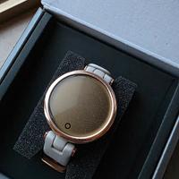 Smartwatch Garmin Lily Sport