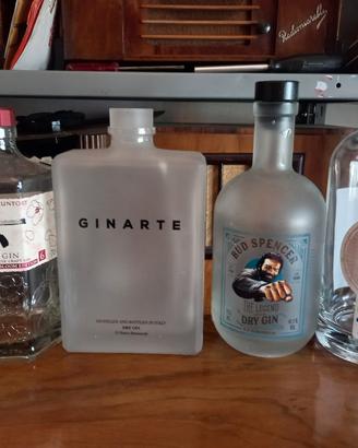 Bottiglie vuote di gin