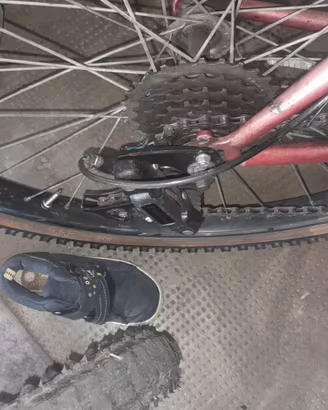 Bici uomo o donna