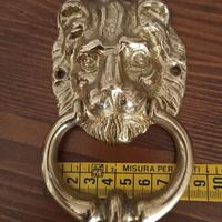 Leone batti porta