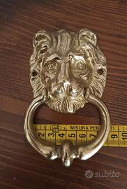 Leone batti porta