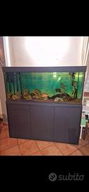 Acquario 150x50x70