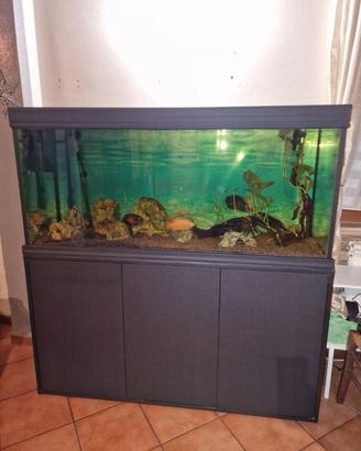Acquario 150x50x70