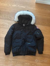 Canada goose