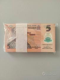NIGERIA-Mazzetta banconote da 5 Naira in Polimery