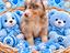 Immagine 4