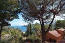 collina-sul-golfo-a-porto-azzurro
