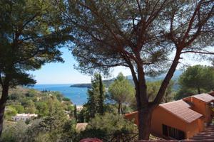 Collina sul Golfo a Porto Azzurro