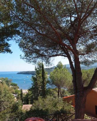 Collina sul Golfo a Porto Azzurro