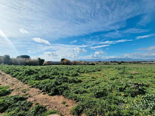 Lotto in zona D non edificabile