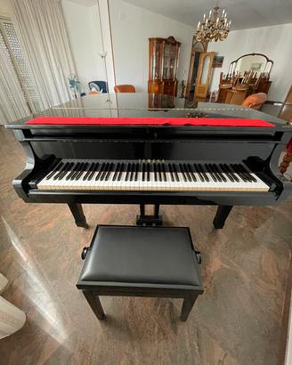 Pianoforte a coda