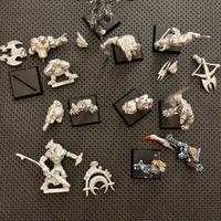 Confrontation lotto Wolfen