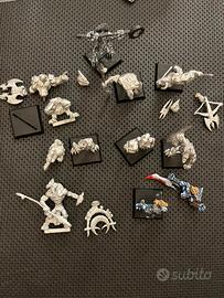 Confrontation lotto Wolfen