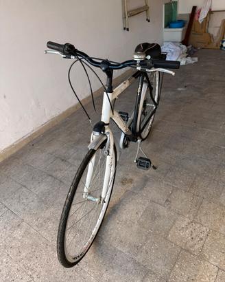 Bici da passeggio per uomo
