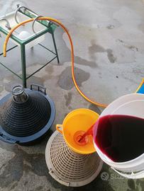 VINO CLINTO E UVA FRAGOLA