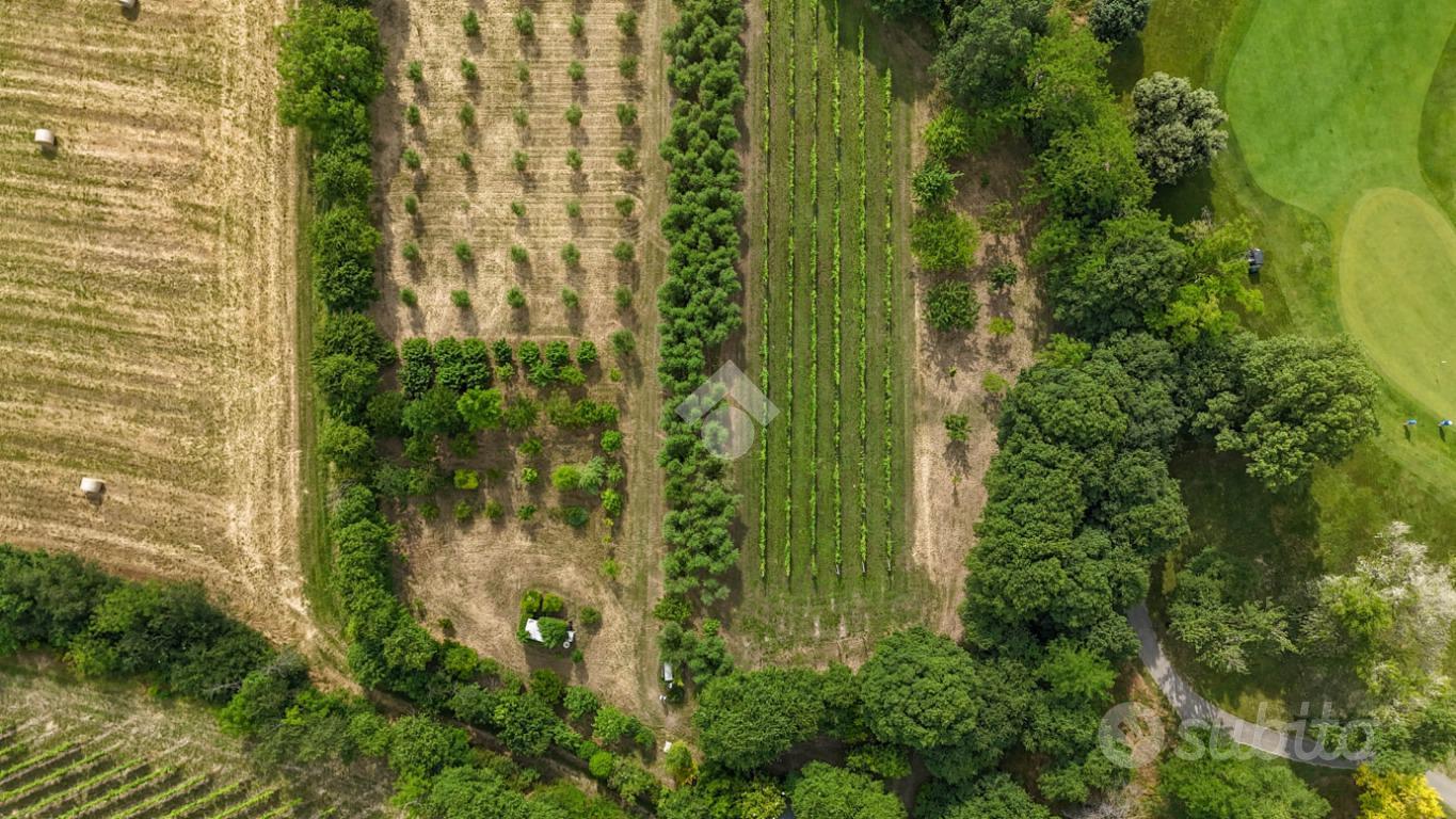 TER. AGRICOLO A CALVAGESE DELLA RIVIERA - Vista 2