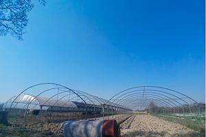 Serra agricola a tre tunnel