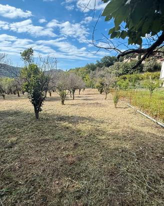 Terreno a Gioiosa Marea (ME), fraz. Maddalena