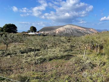 Bel Terreno al Piano di Vulcano