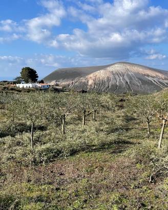 Bel Terreno al Piano di Vulcano