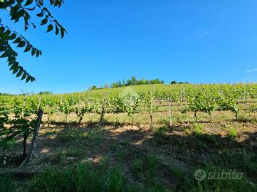 TER. AGRICOLO A NIZZA MONFERRATO