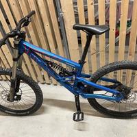 Bici downhill