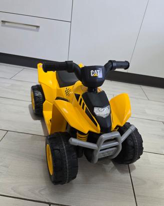 mini quad