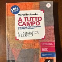 A tutto campo grammatica e lessico