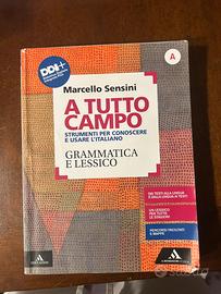 A tutto campo grammatica e lessico