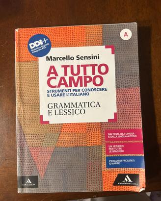 A tutto campo grammatica e lessico