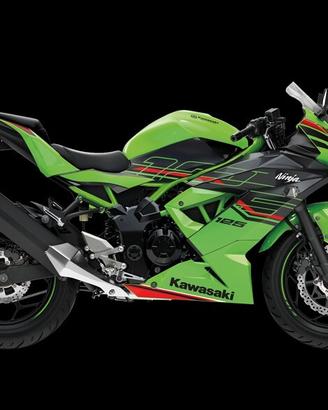 Kawasaki Ninja 125