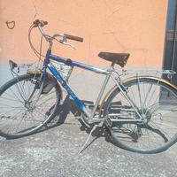 Bicicletta citybike con cambio