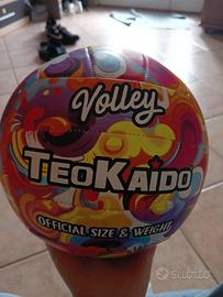 PALLA DA PALLAVOLO