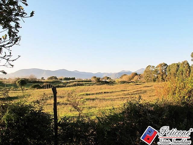 Terreno agricolo - Fondi - Vista 3