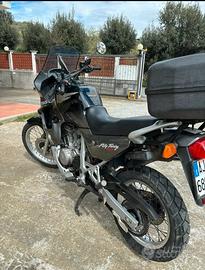 Transalp 600 del 1999
