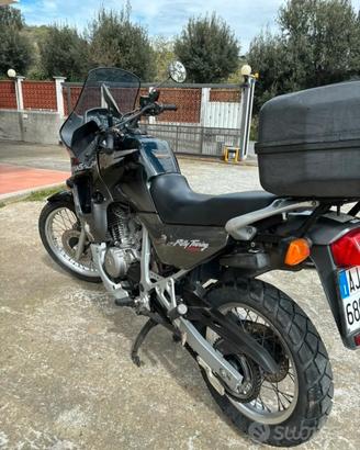 Transalp 600 del 1999