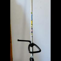 Decespugliatore a motore