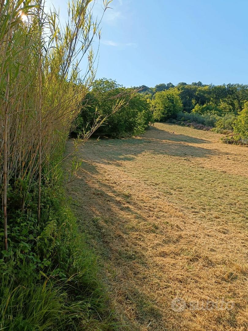 Terreno agricolo -- villamagna (ch), val di foro - Vista 3