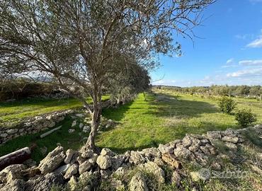 Terreno Militello in val di Catania