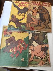 Lotto Akim albo d’oro