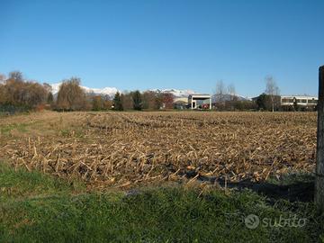 Terreno edificabile Sandigliano